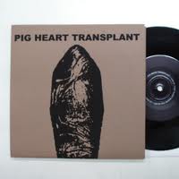 Pig Heart Transplant - They Eat What We Eat / They Sleep Where You Sleep - 7